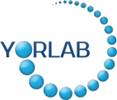 yorlab logo