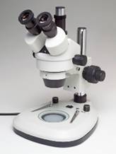 Microtec HM-3 Stereo microscope with phototube, transmitted