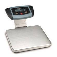 Bench and Floor Scales